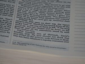 43+ Insightful Domain Facts [Infographic]