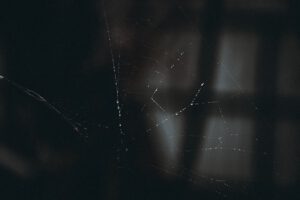 23 Dark Web Statistics to Investigate in 2023
