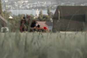 How Is The Battlefield Player Count Faring in 2023?