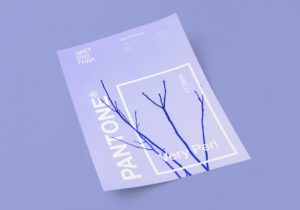 20+ Pandora Statistics To Make You Turn On The Radio in 2023