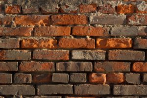 Brick and Mortar vs eCommerce—Heated Competition or Opportunity?